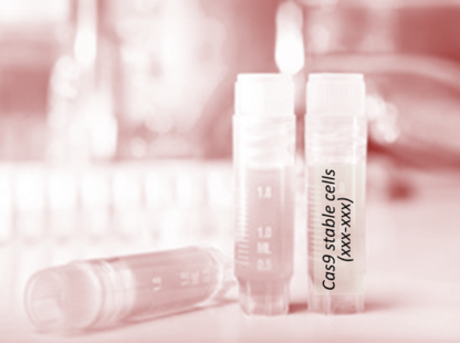 Cas9 Stable Cell Line (OVCAR-3)