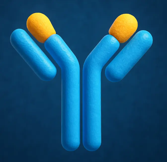 Goat Anti-Rabbit IgG H&L Antibody (HRP)