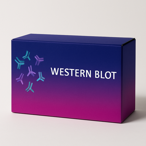 [WB-0036] Serum - Rabbit Serum - 50 mL