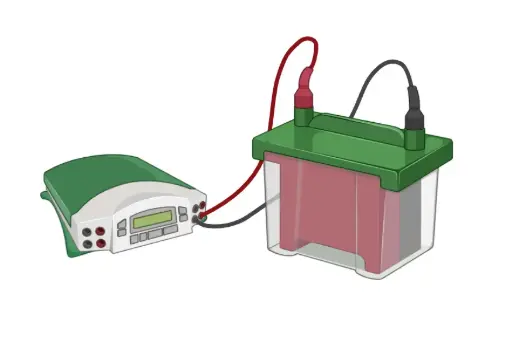 [ML-WB-13] TRICHINELLA ES Western Blot IgG