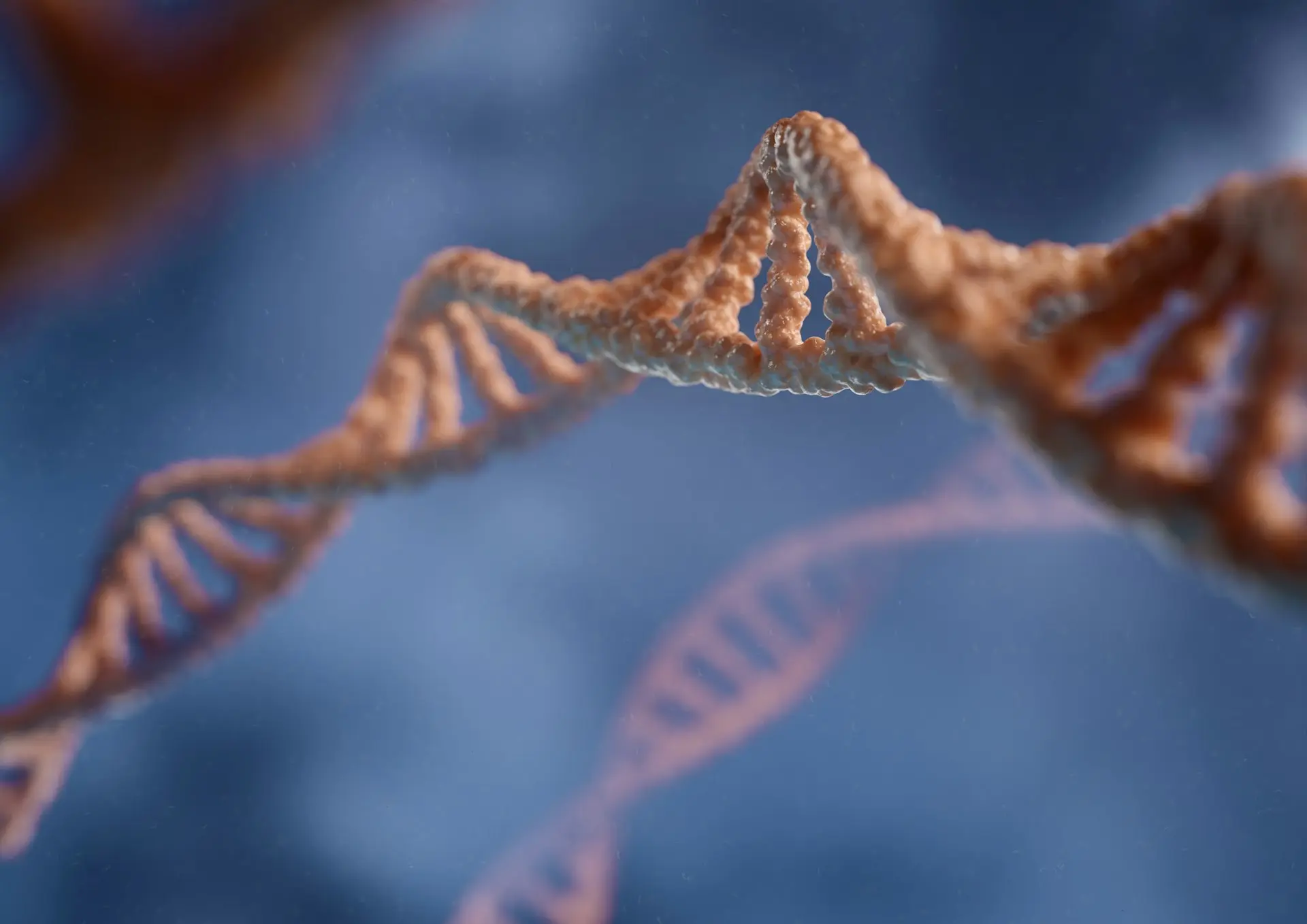 Red Green Gene